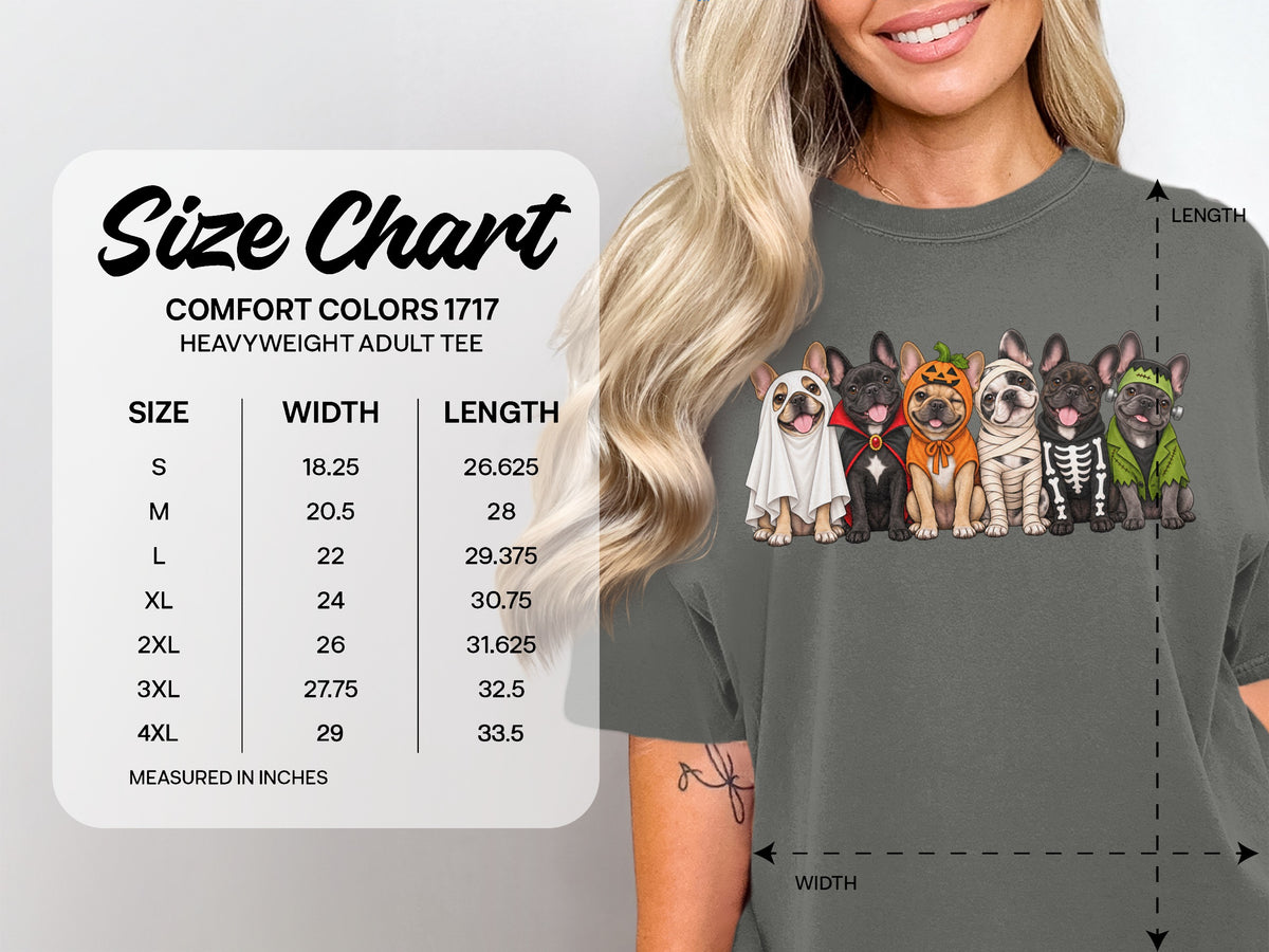 Comfort Colors 1717 heavyweight adult tee size chart with width and length measurements.
