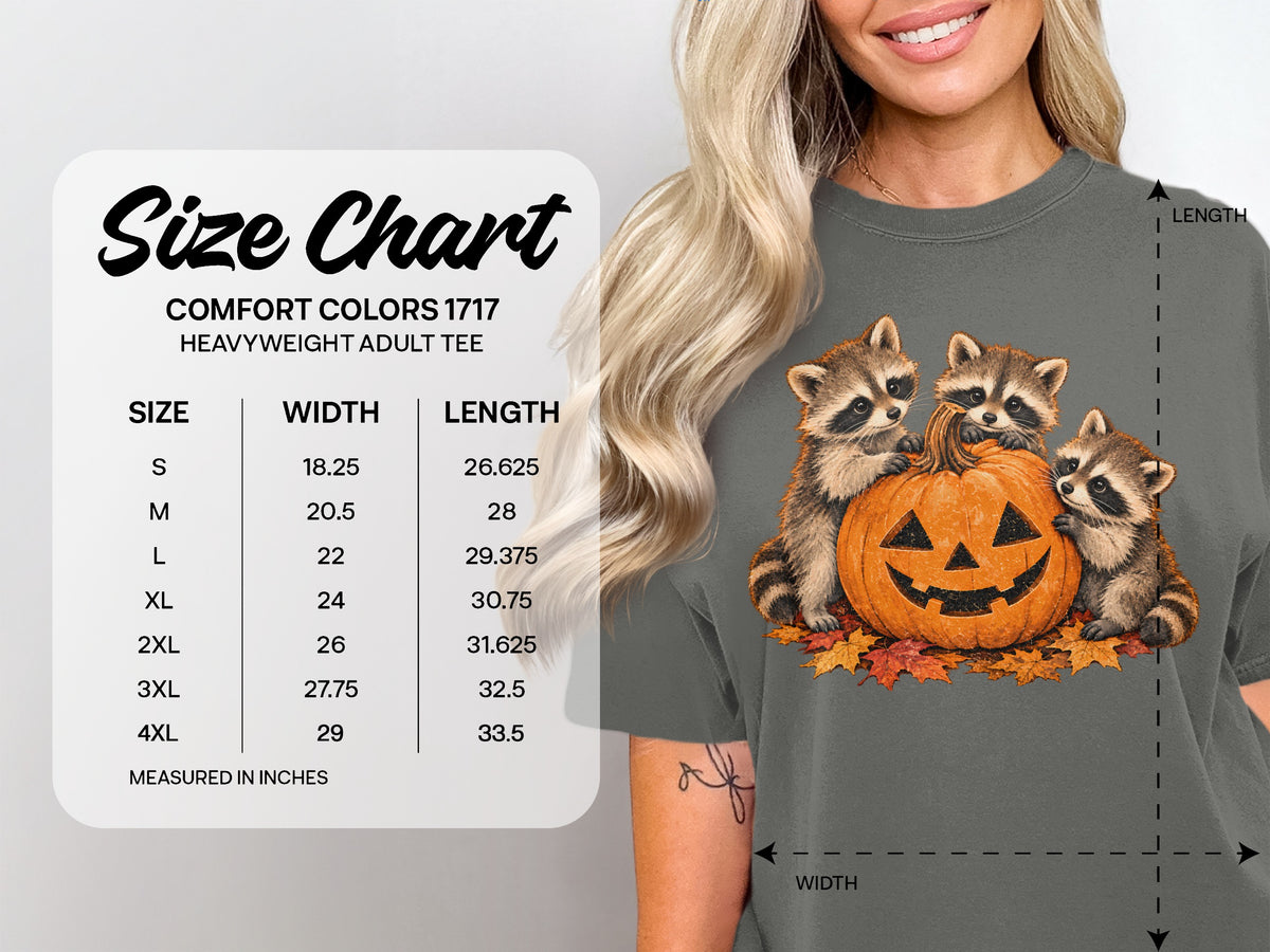 Comfort Colors 1717 heavyweight adult tee size chart with measurements.