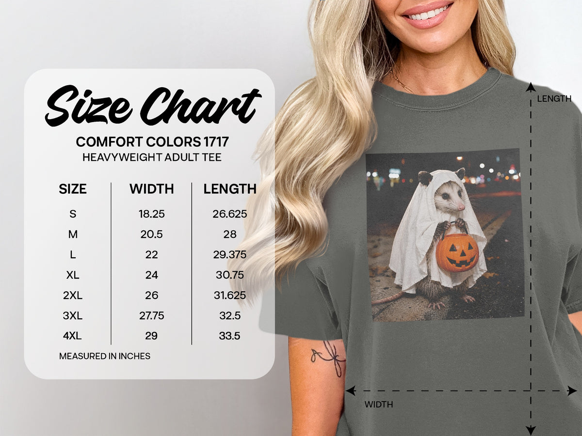Comfort Colors 1717 adult tee size chart with width and length measurements.