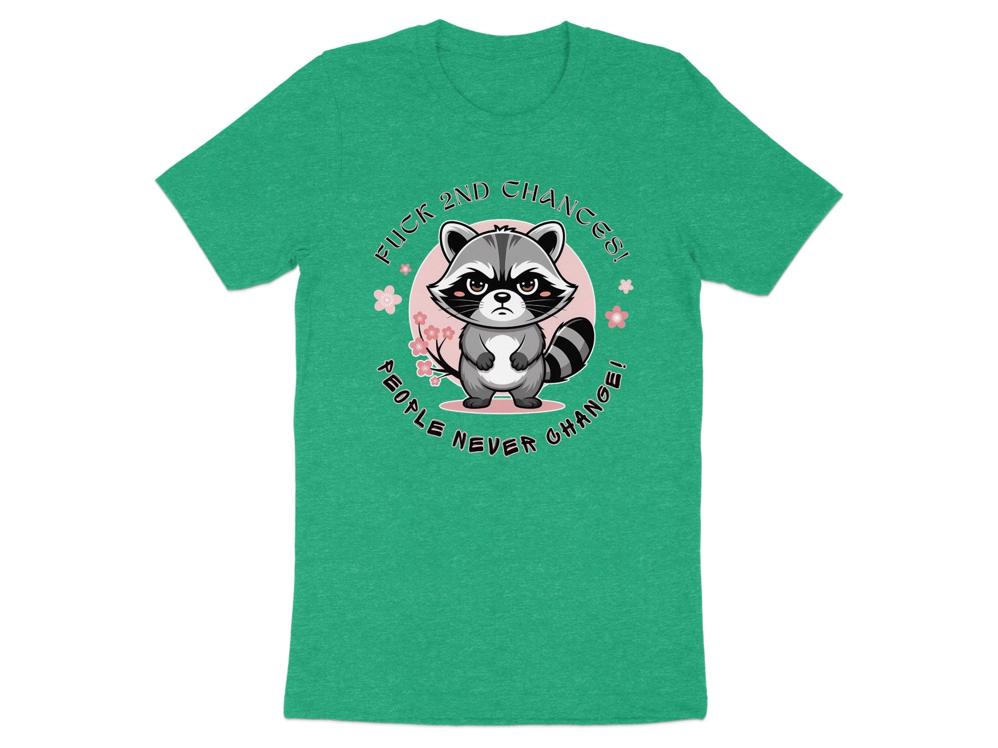 Green t-shirt with a grumpy raccoon illustration and text "FUCK 2ND CHANCES! PEOPLE NEVER CHANGE!".