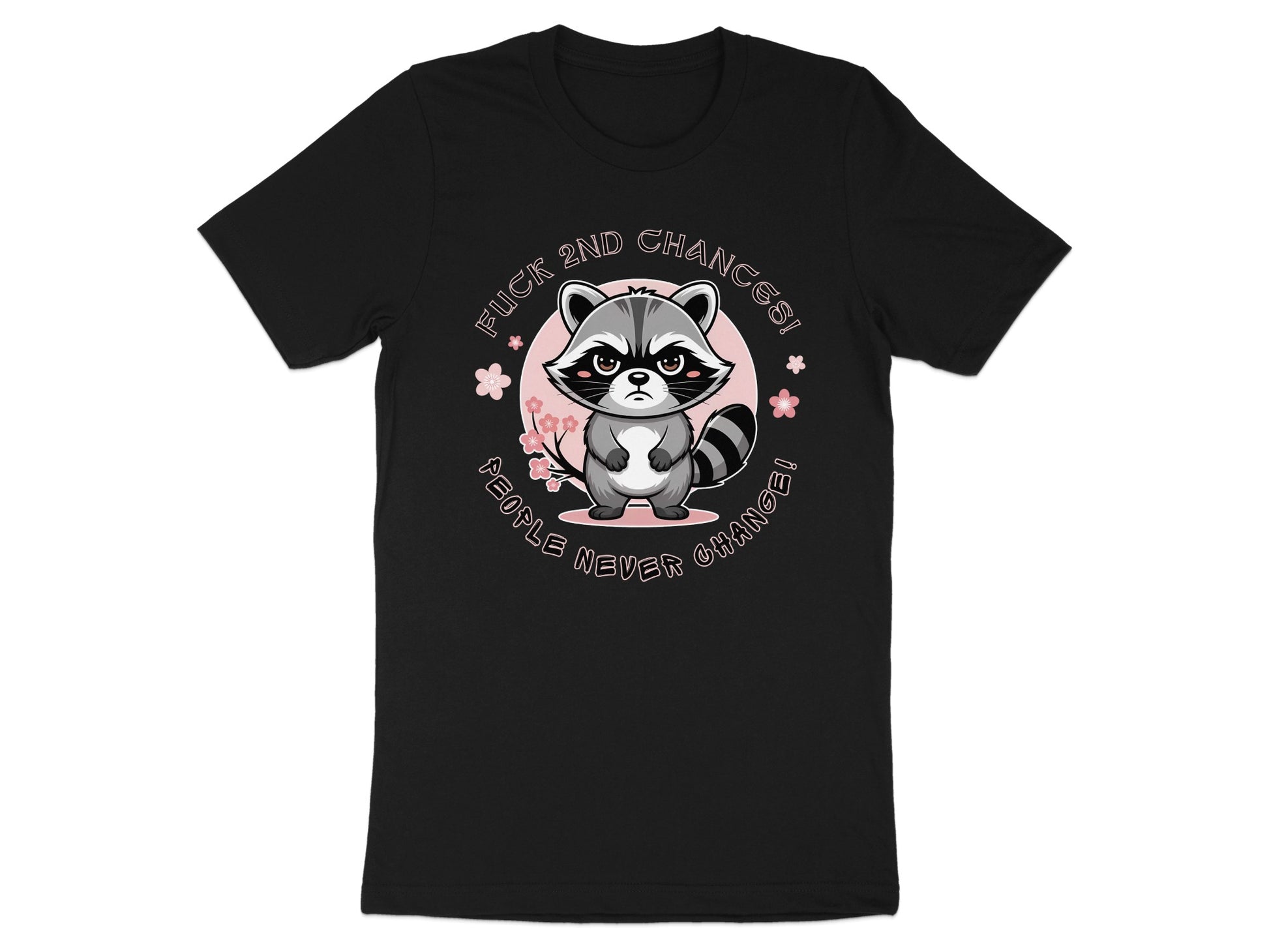 Black t-shirt with a grumpy raccoon illustration and text "Fuck 2nd Chances! People Never Change!"