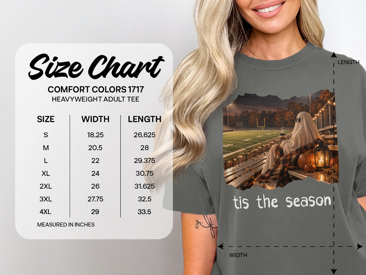 Comfort Colors 1717 size chart for heavyweight adult tee with ghost graphic.