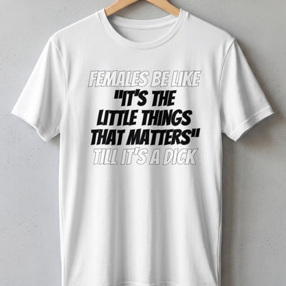 White t-shirt with black text "Females be like 'It's the little things that matters' till it's a dick".