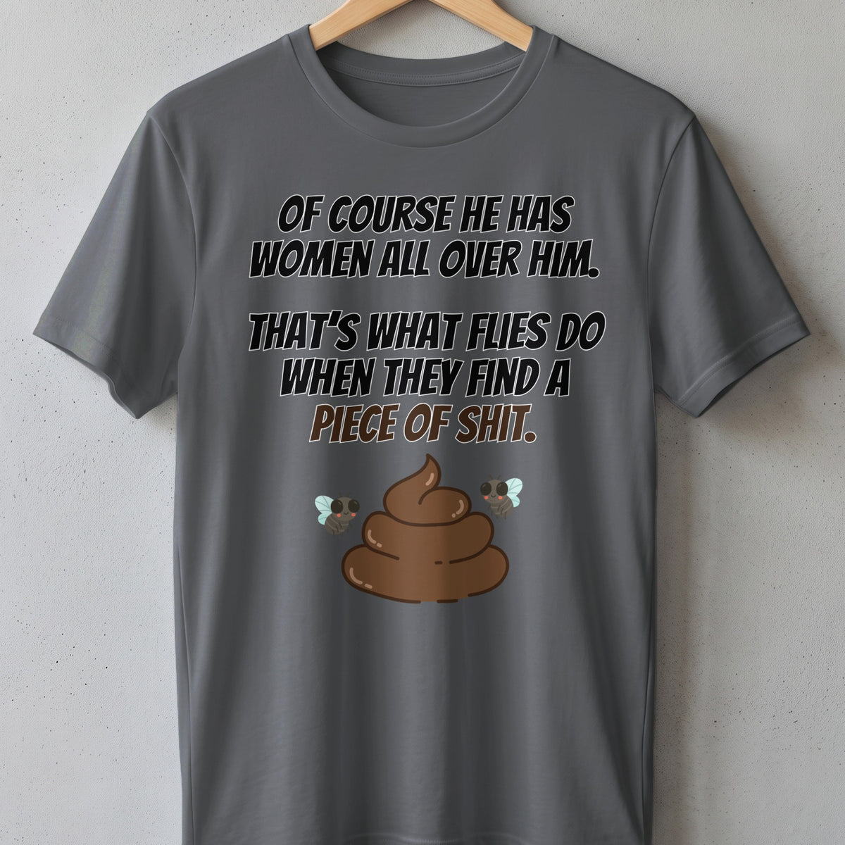 Gray t-shirt with text about flies and a pile of poop.