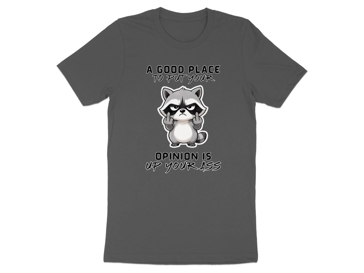 Sarcastic Raccoon Middle Finger T-Shirt: Offensive Humor Graphic Tee