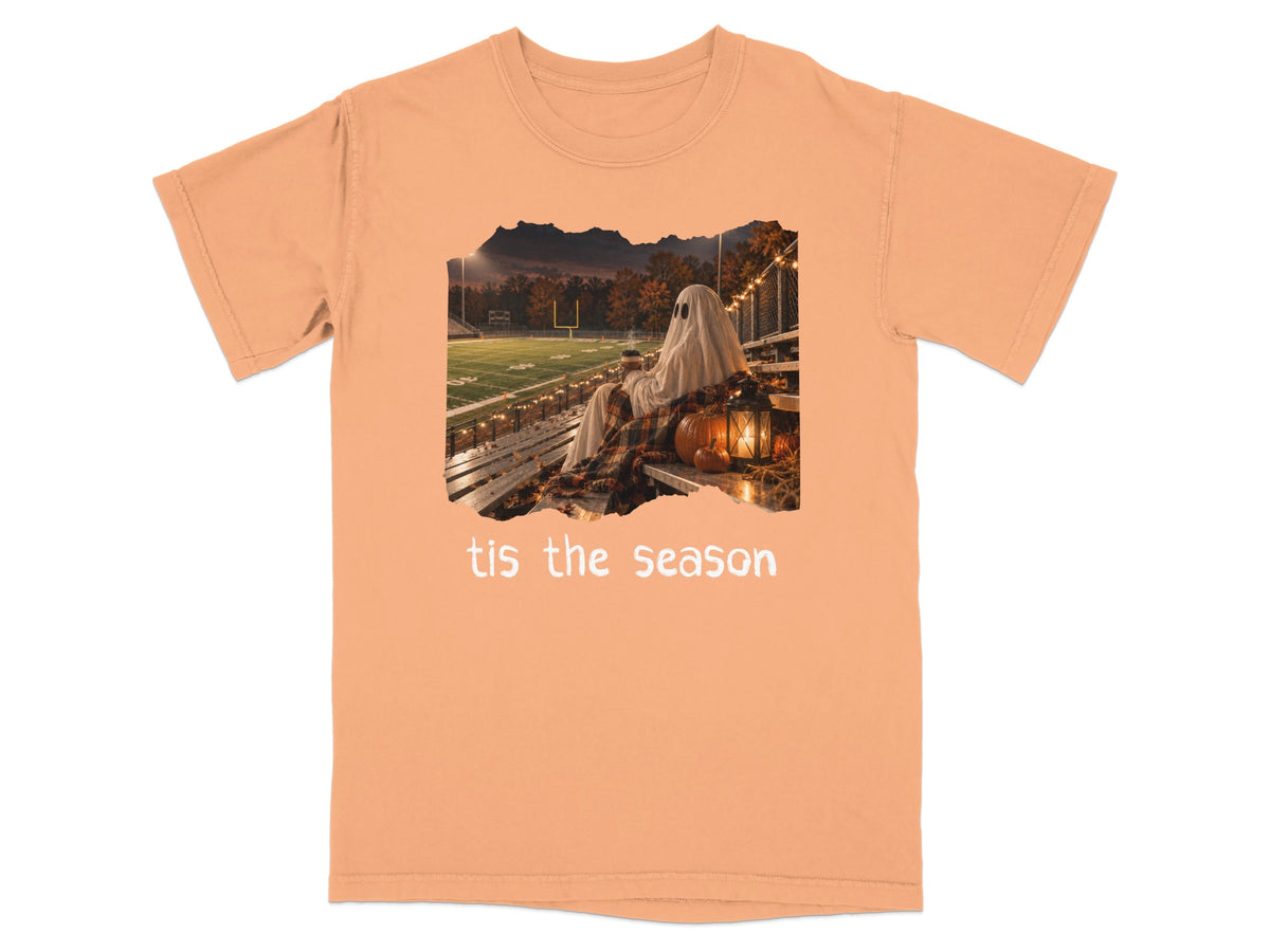 Ghost sitting on bleachers at football stadium with pumpkin and text 'tis the season.