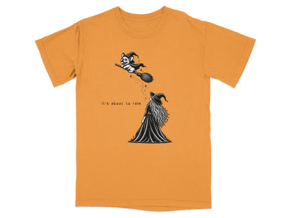 French bulldog wearing witch hat and cape flies on broomstick above witch with text "It's about to rain".