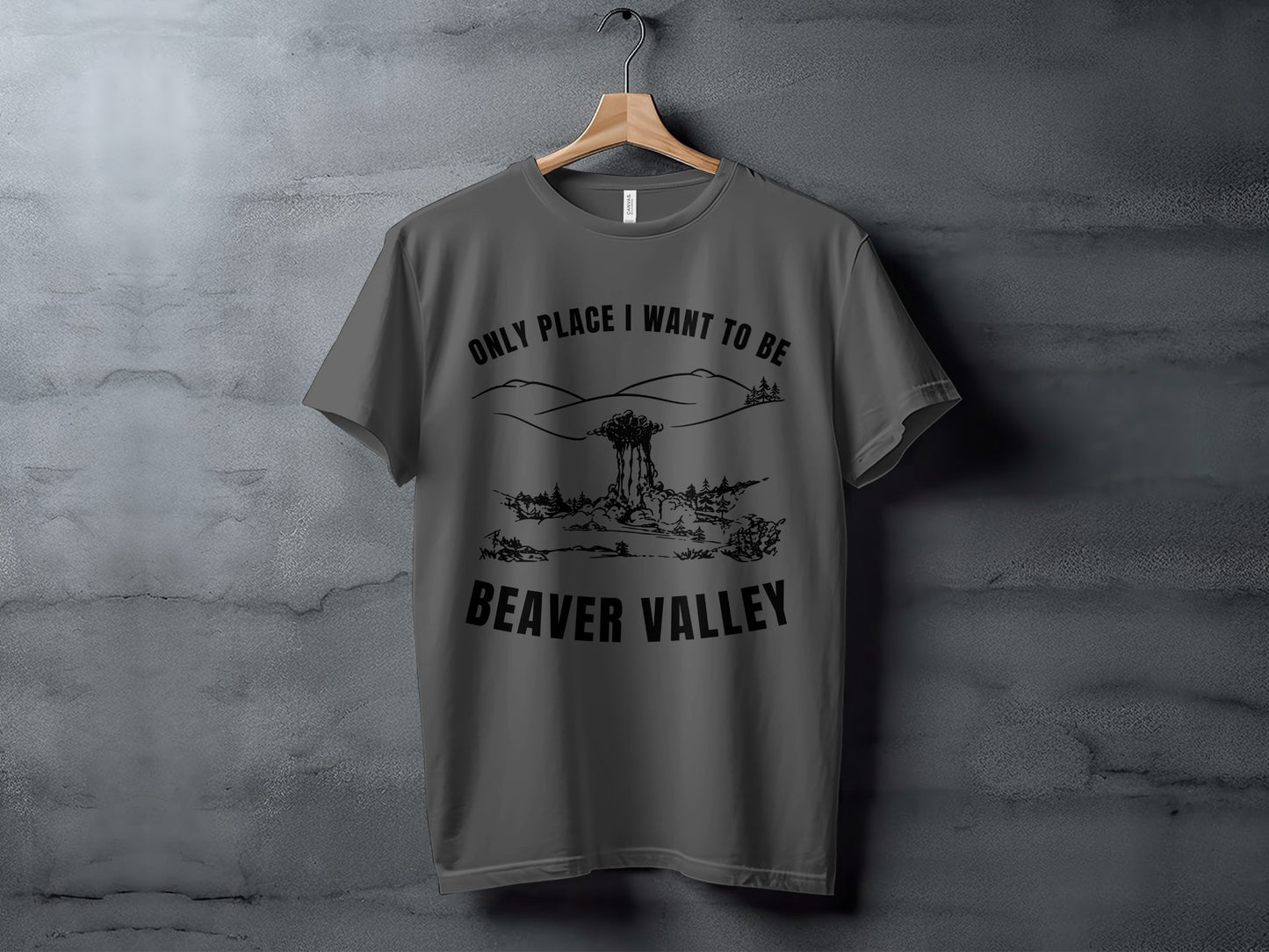 Grey t-shirt with "ONLY PLACE I WANT TO BE BEAVER VALLEY" text and mountain graphic.