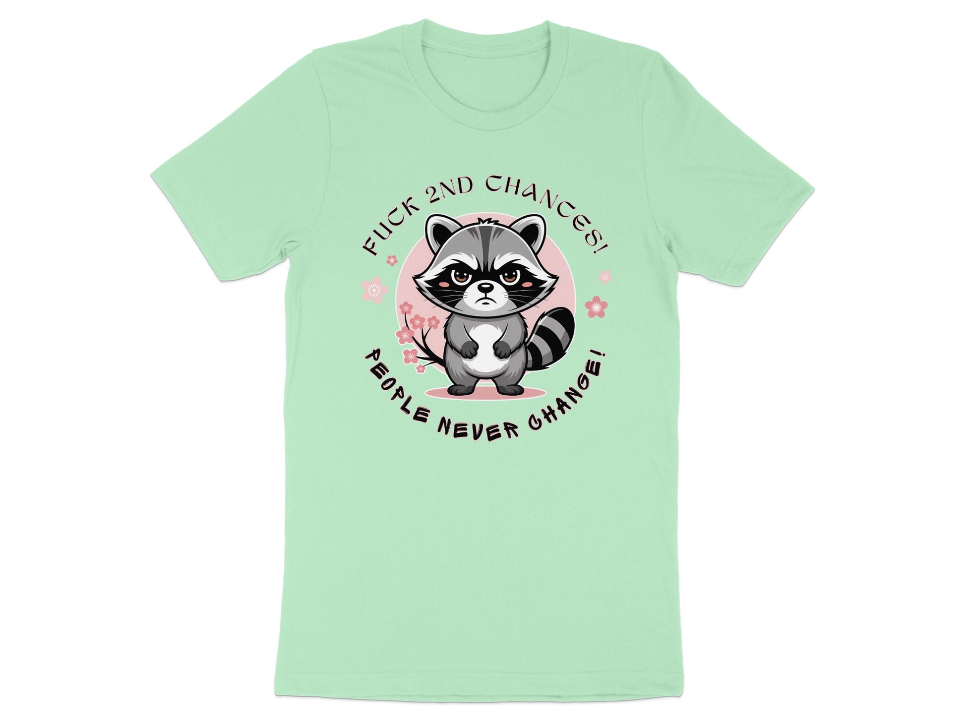 Mint green t-shirt with raccoon graphic and text "Fuck 2nd Chances! People never change!"