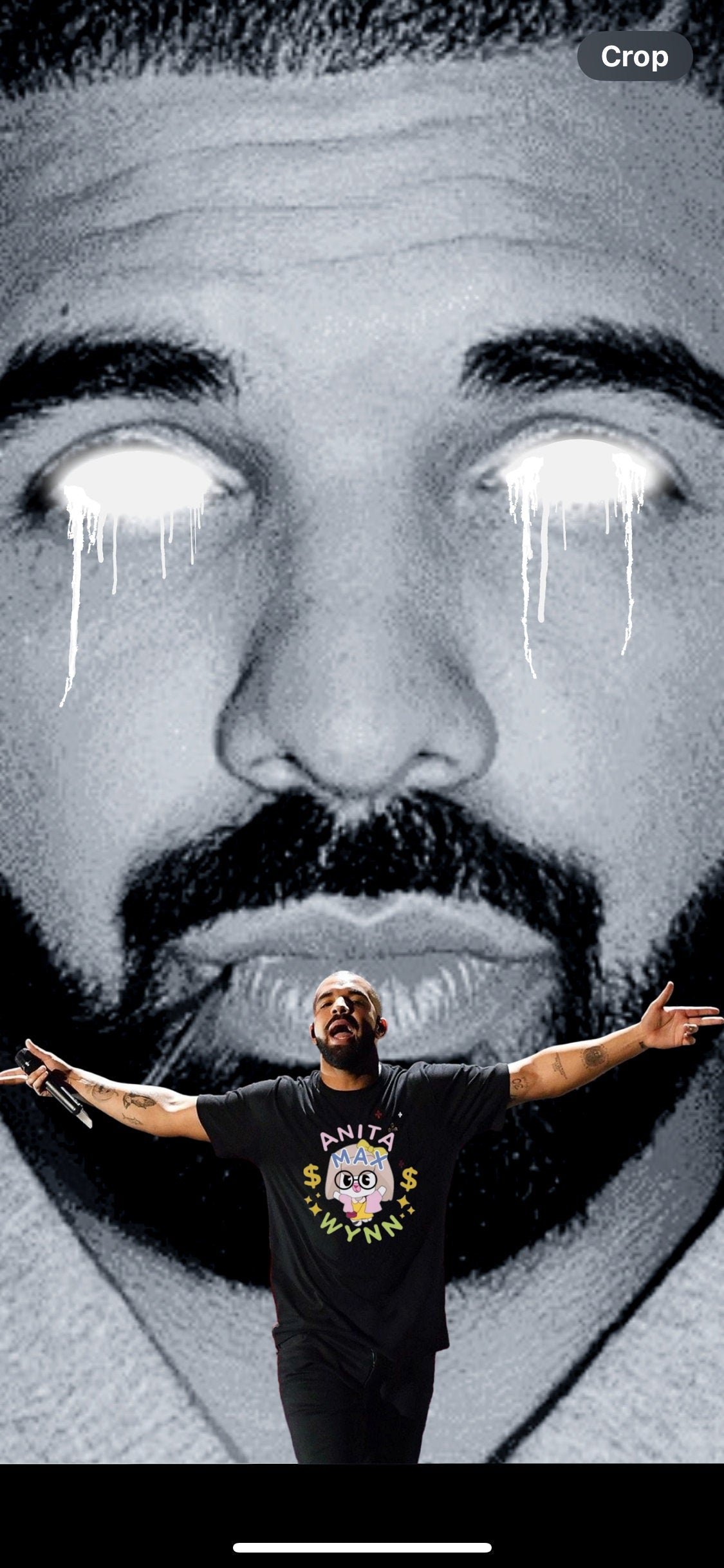 Drake Tour Tshirt Anita Max Wynn
