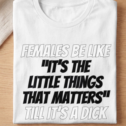 White t-shirt with the text "FEMALES BE LIKE 'IT'S THE LITTLE THINGS THAT MATTERS' TILL IT'S A DICK".