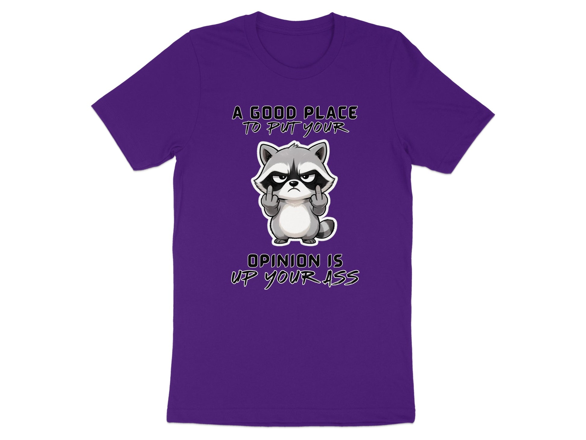 Purple t-shirt with a cartoon raccoon giving the middle finger and text.