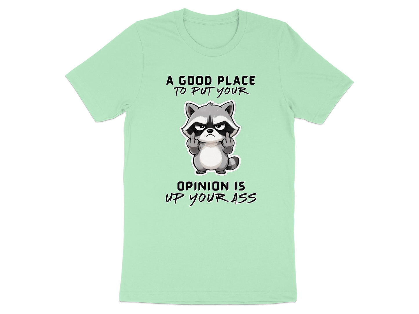 Light mint t-shirt with raccoon graphic and text: "A good place to put your opinion is up your ass."