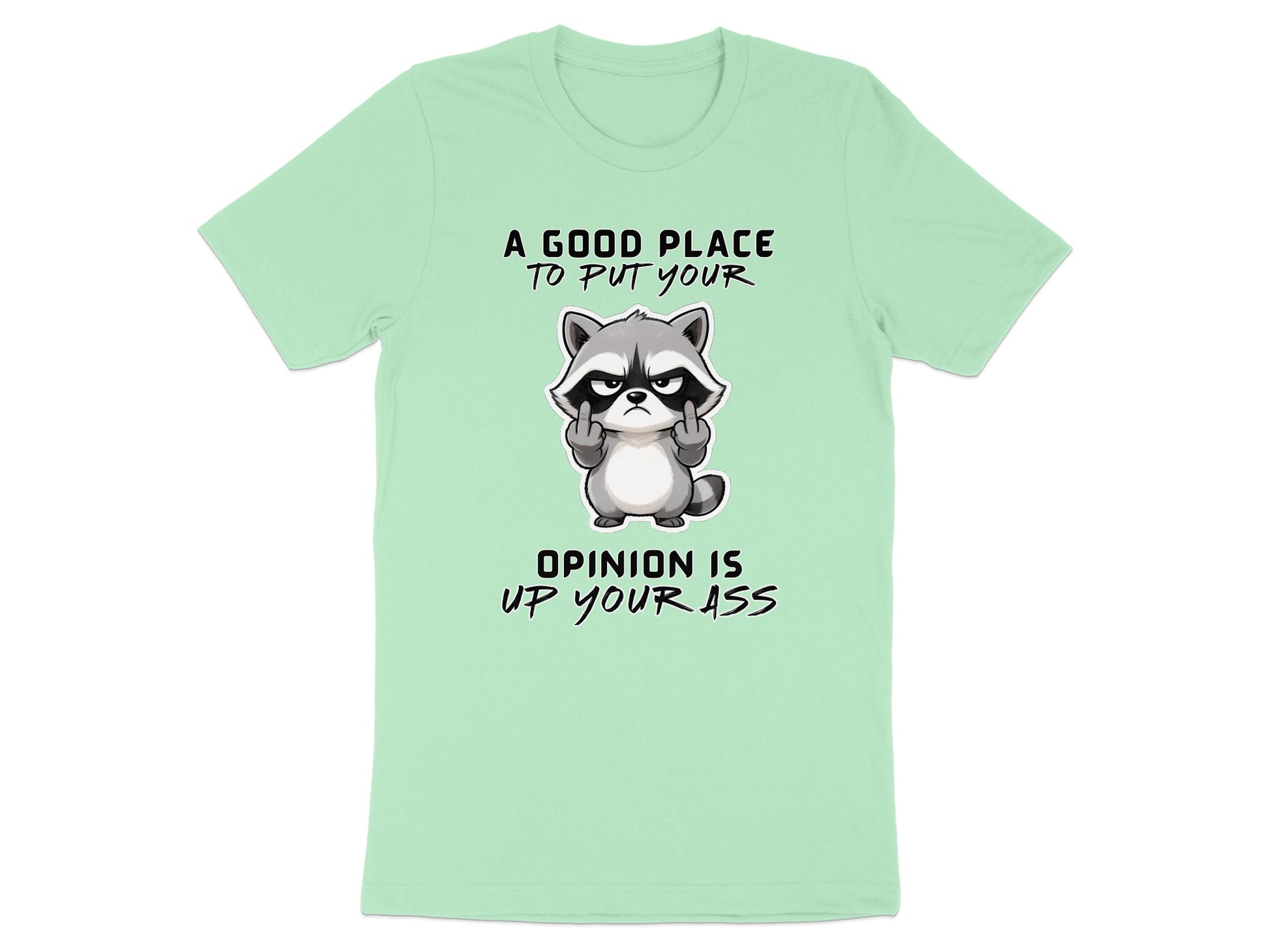 Light mint t-shirt with raccoon graphic and text: "A good place to put your opinion is up your ass."