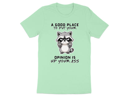 Light mint t-shirt with raccoon graphic and text: "A good place to put your opinion is up your ass."