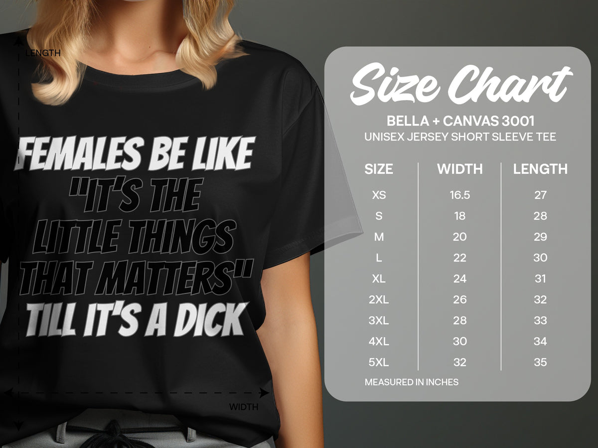 Black t-shirt with text "FEMALES BE LIKE 'IT'S THE LITTLE THINGS THAT MATTERS' TILL IT'S A DICK" and size chart.