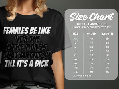 Black t-shirt with text "FEMALES BE LIKE 'IT'S THE LITTLE THINGS THAT MATTERS' TILL IT'S A DICK" and size chart.