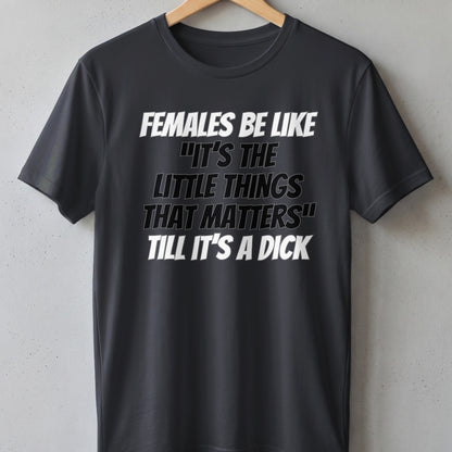 Dark t-shirt with white text: "Females be like 'it's the little things that matters' till it's a dick".