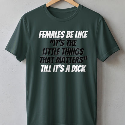 Dark green t-shirt with text "FEMALES BE LIKE 'IT'S THE LITTLE THINGS THAT MATTERS' TILL IT'S A DICK".