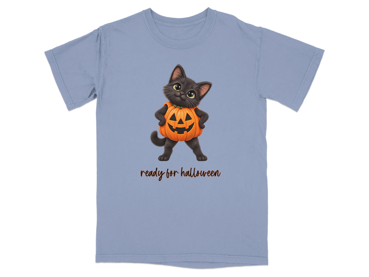Black cat in a pumpkin costume with "ready for halloween" text.
