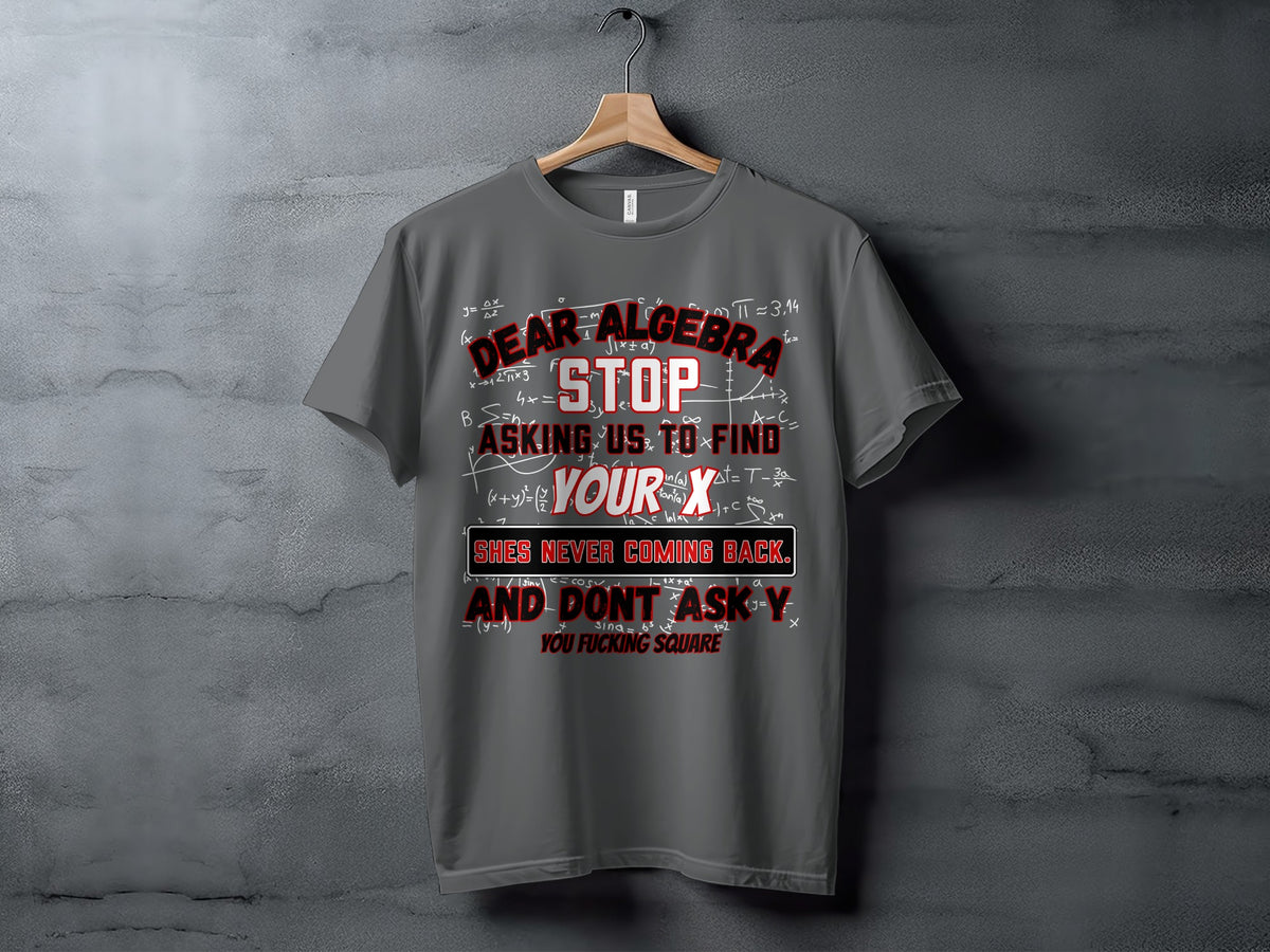 Gray t-shirt with text "Dear Algebra Stop Asking Us to Find Your X. She's Never Coming Back. And Don't Ask Y You Fucking Square."