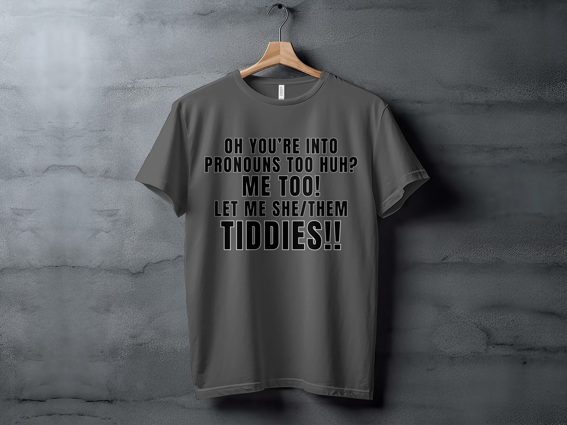 Grey t-shirt with text "Oh you're into pronouns too huh? Me too! Let me she/them tiddies!!"
