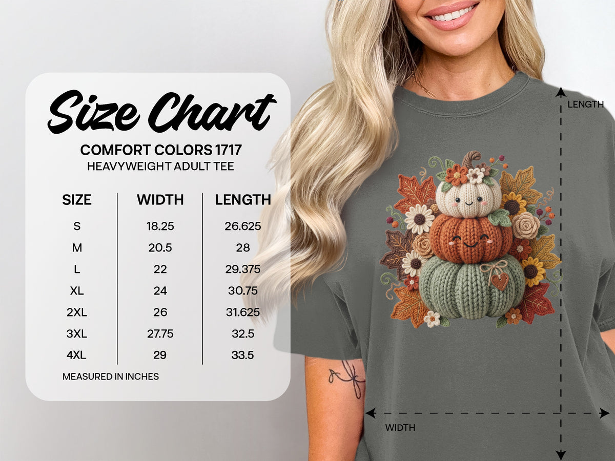 Comfort Colors 1717 heavyweight adult tee size chart with width and length measurements.