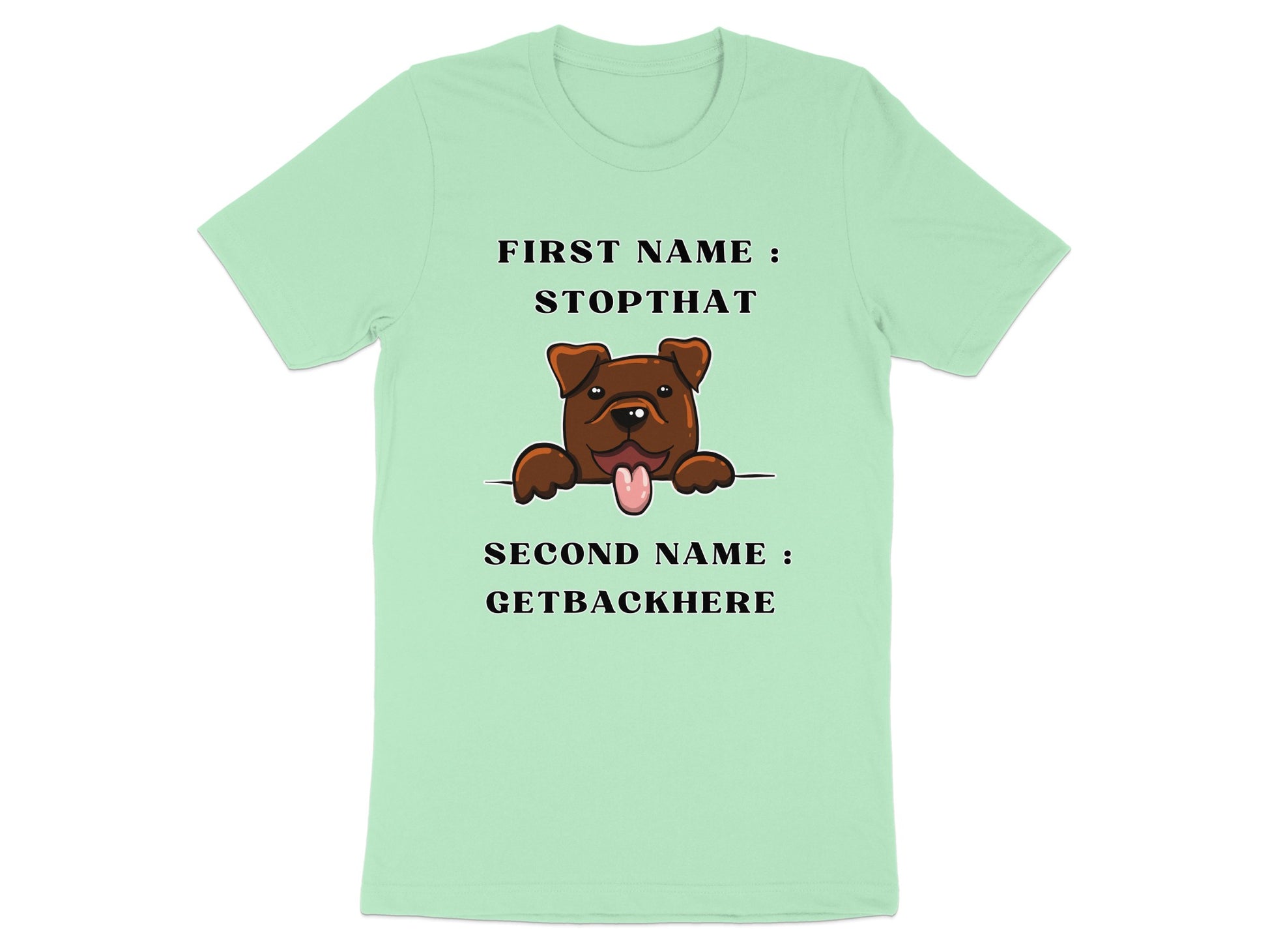 Light green t-shirt with cartoon dog and text "First Name: Stopthat Second Name: Getbackhere".