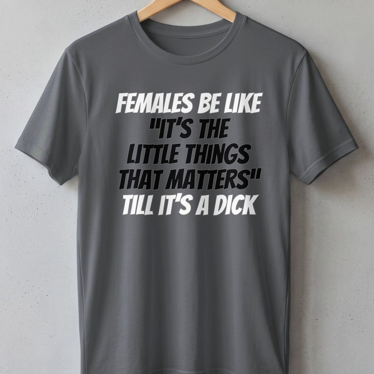 Grey t-shirt with text "Females be like 'It's the little things that matters' till it's a dick"