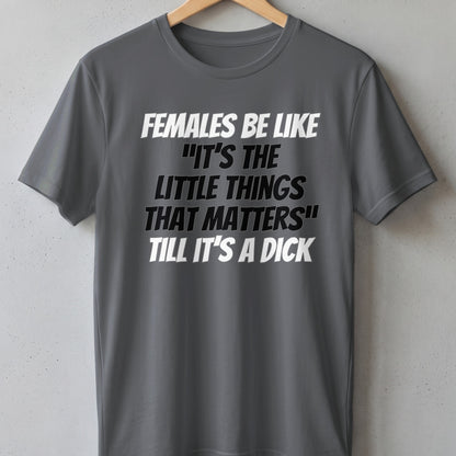 Grey t-shirt with text "Females be like 'It's the little things that matters' till it's a dick"