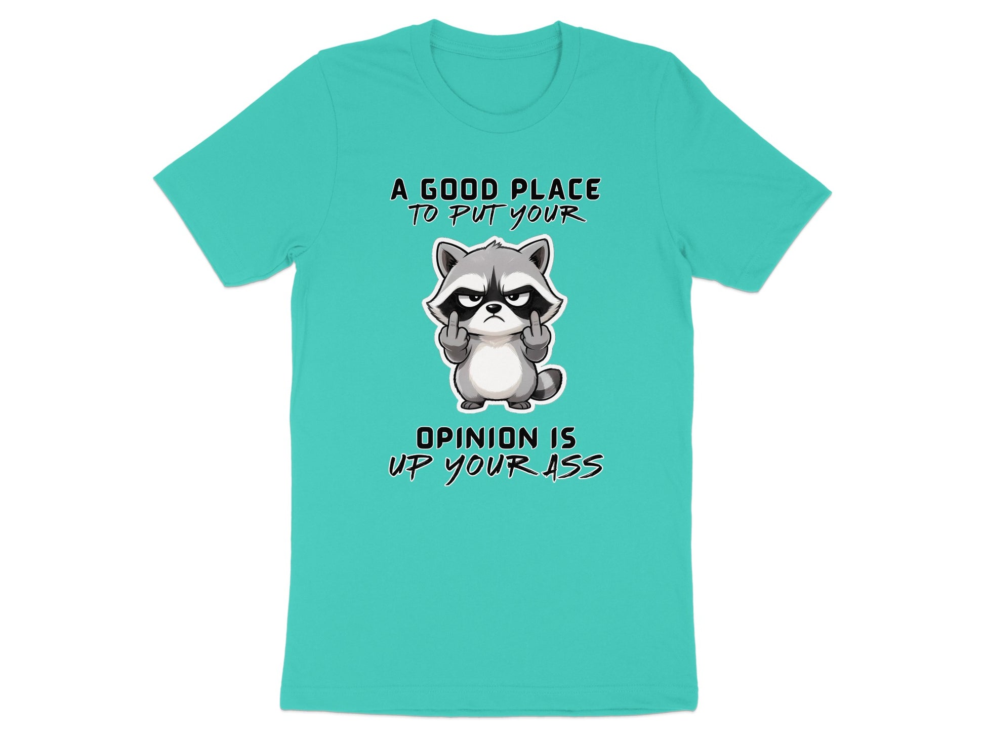 Teal t-shirt with raccoon graphic and text: "A good place to put your opinion is up your ass."