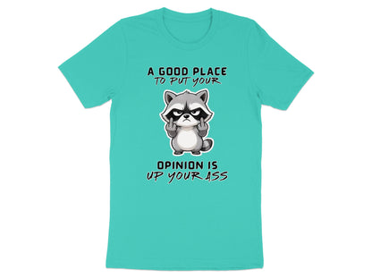 Teal t-shirt with raccoon graphic and text: "A good place to put your opinion is up your ass."