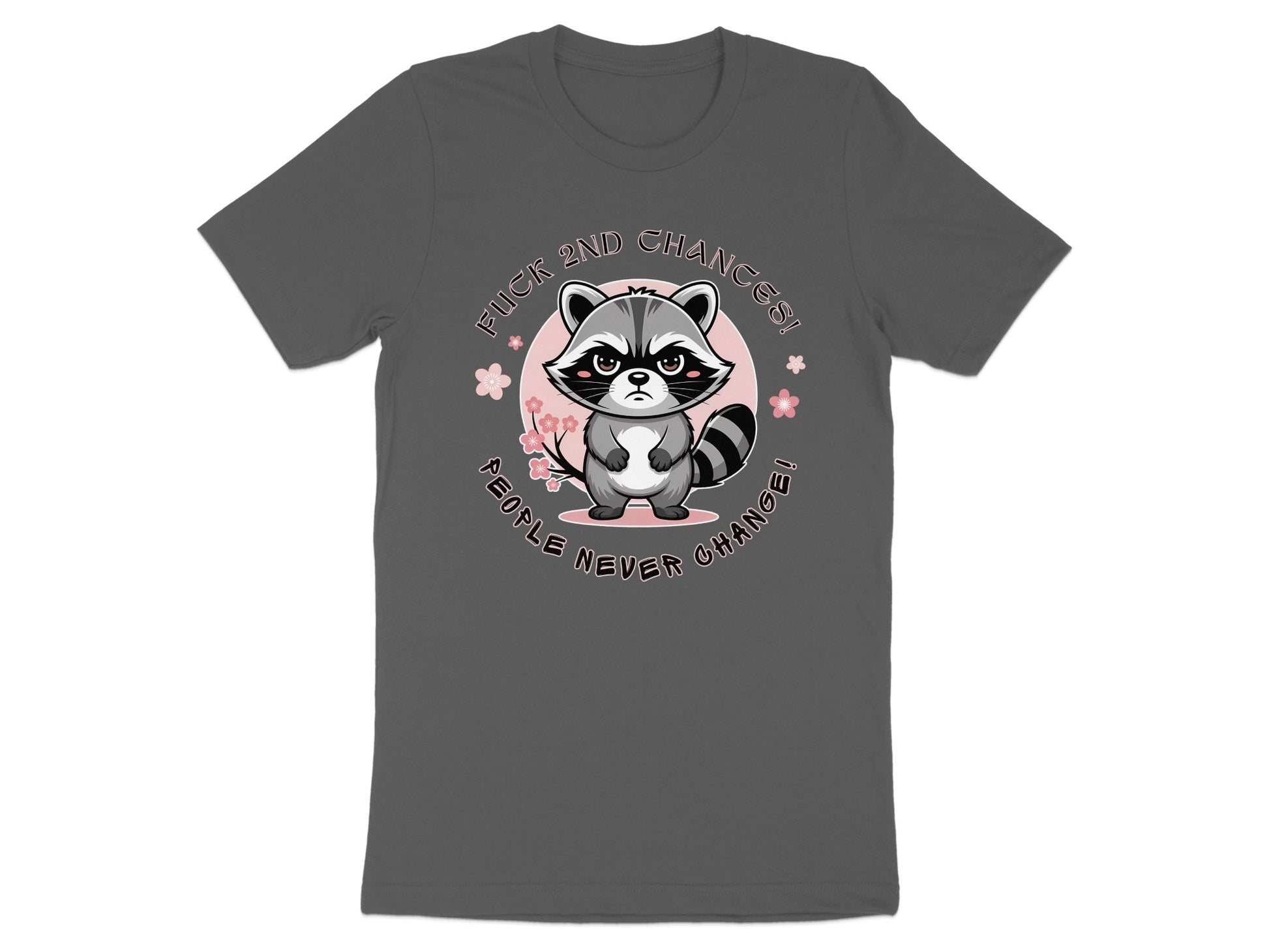 Gray t-shirt with a raccoon design and text "Fuck 2nd Chances! People Never Change!".