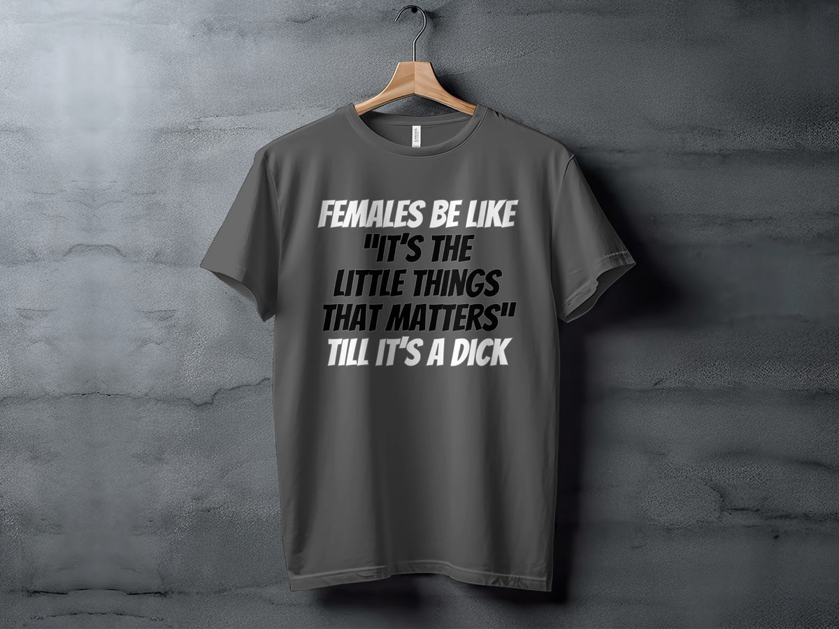 Dark gray t-shirt with white text "FEMALES BE LIKE 'IT'S THE LITTLE THINGS THAT MATTERS' TILL IT'S A DICK".