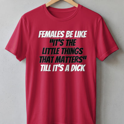 Red t-shirt with text "Females be like 'It's the little things that matters' till it's a dick".