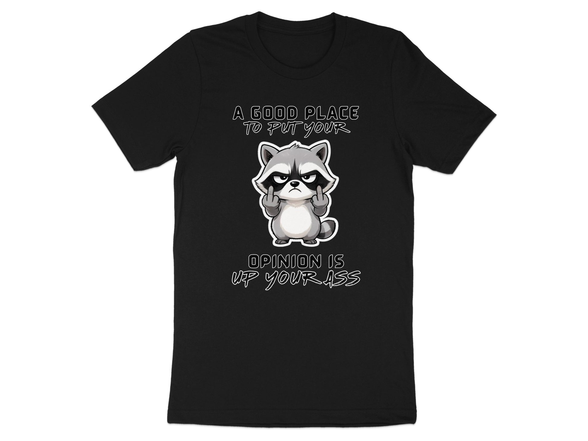 Black t-shirt with raccoon graphic and text: "A good place to put your opinion is up your ass."