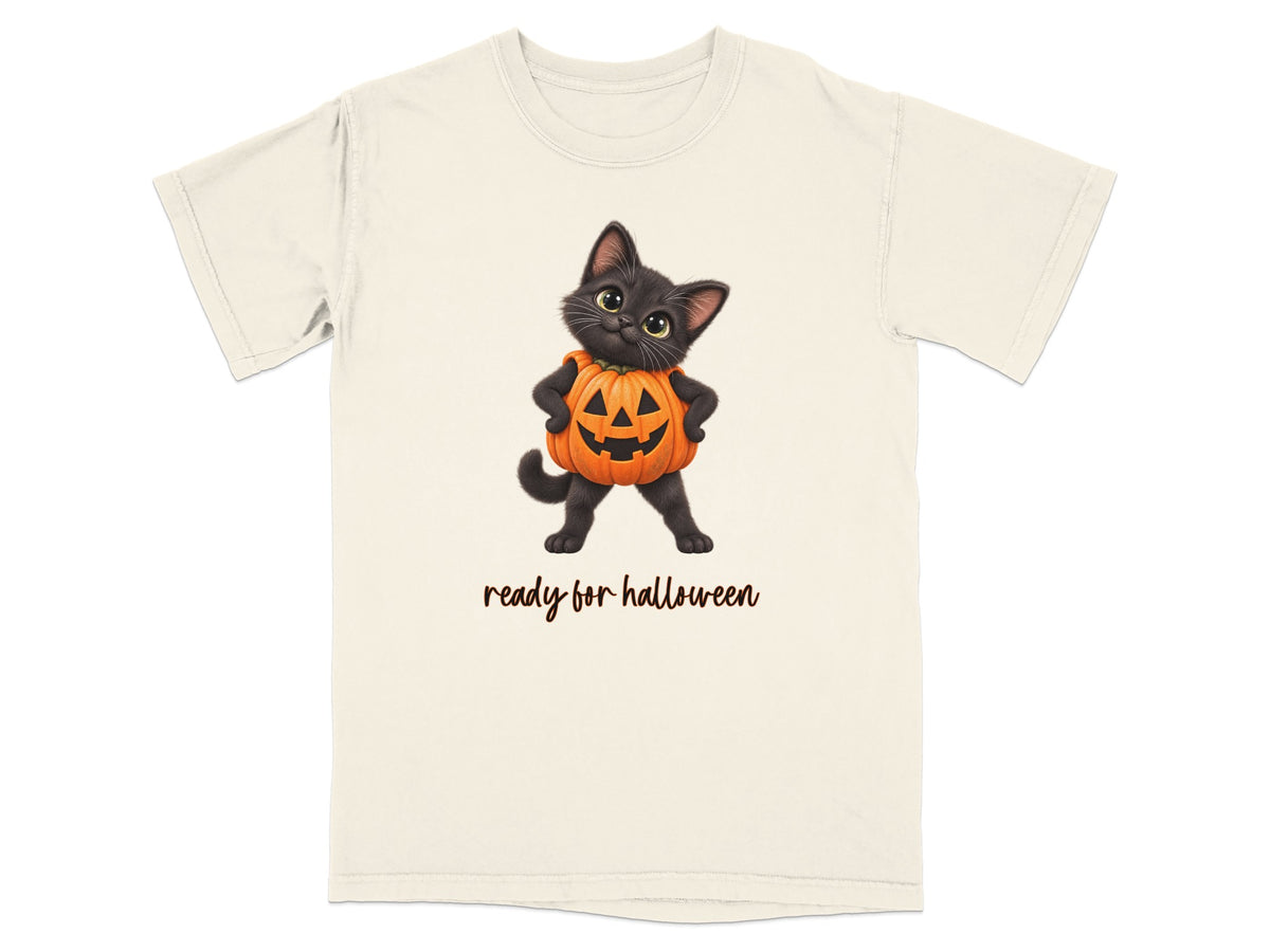 Black cat wearing a pumpkin costume with "ready for halloween" text.