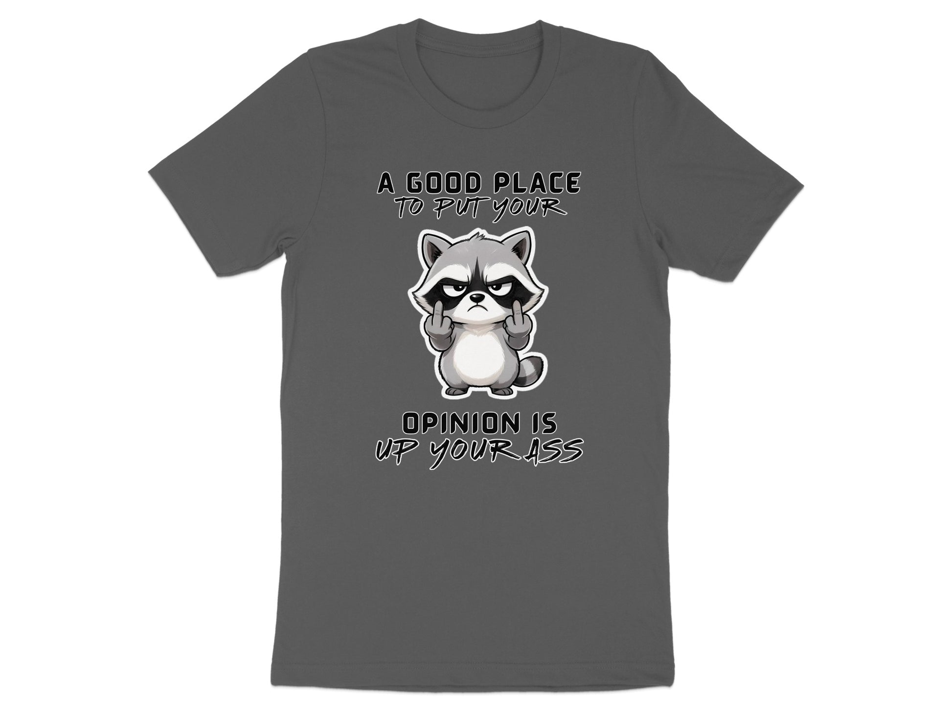 Gray t-shirt with raccoon graphic and text.