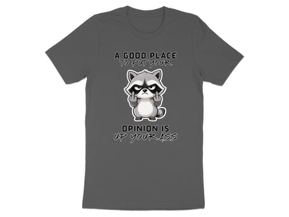 Gray t-shirt with raccoon graphic and text.