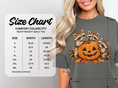Comfort Colors 1717 heavyweight adult tee size chart with measurements.