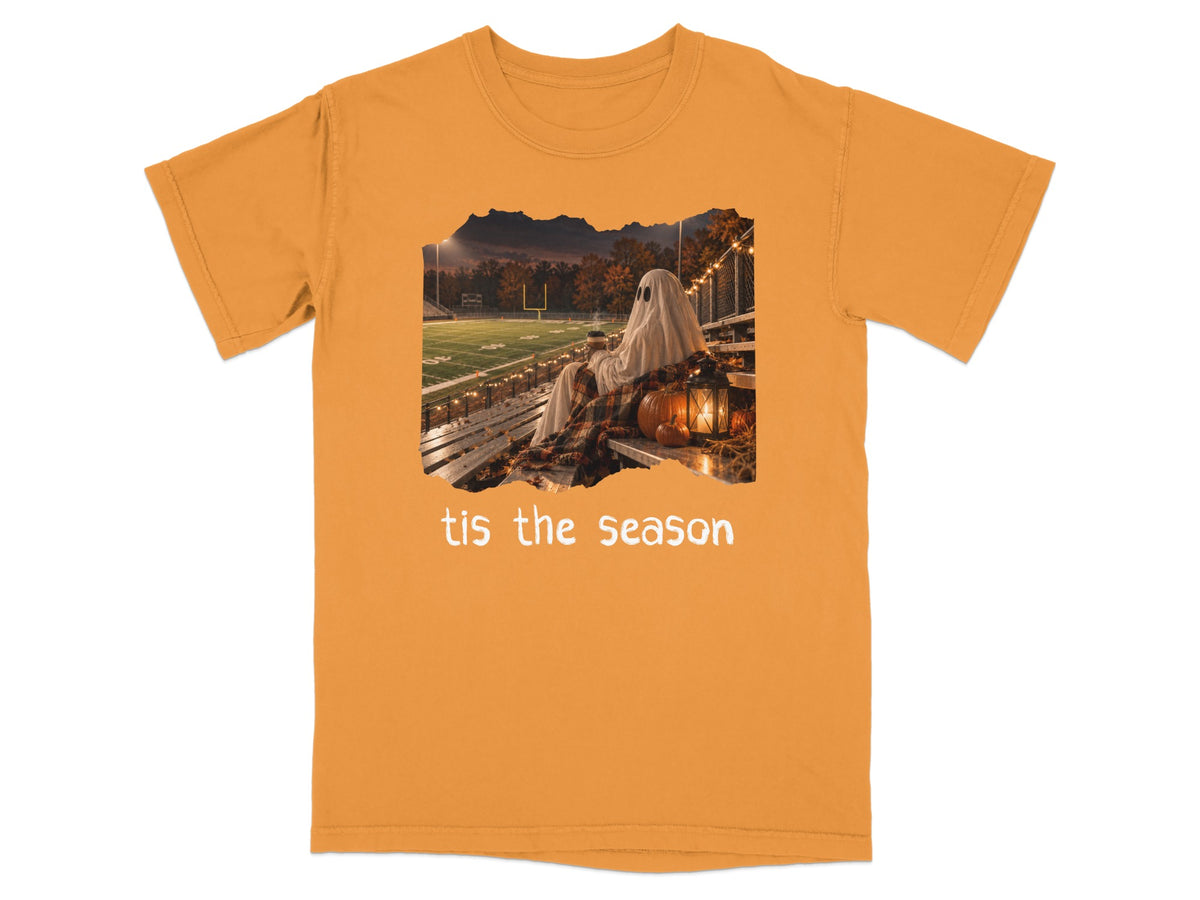 Ghost in blanket on stadium bleachers with pumpkin and text "tis the season".
